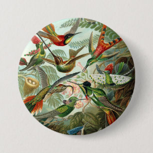 Badge Rond 7,6 Cm 12 oiseaux charmeurs américains peints