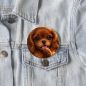 Badge Rond 7,6 Cm Adorable Ruby Cavalier Spaniel (En situation)