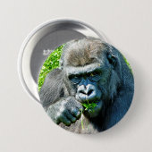 BADGE ROND 7,6 CM ANIMAUX SAUVAGES - GORILLAS (Devant & derrière)