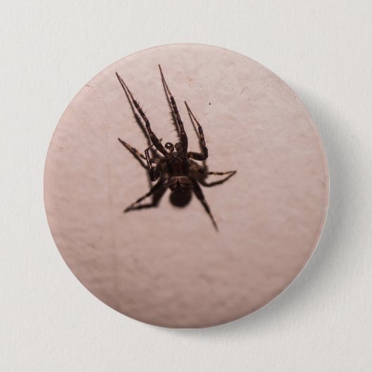 Badge Rond 7,6 Cm Araignée loup (Devant)