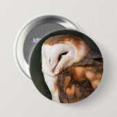 BADGE ROND 7,6 CM BARN OWL (Devant & derrière)