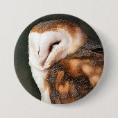 BADGE ROND 7,6 CM BARN OWL (Devant)