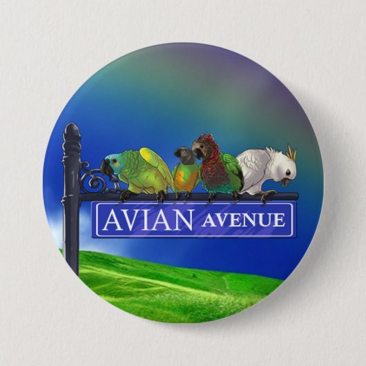 Badge Rond 7,6 Cm Bouton aviaire de forum de perroquet d'avenue (Devant)