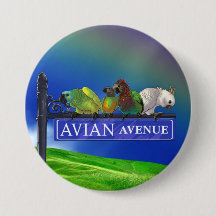 Bouton aviaire de forum de perroquet d'avenue