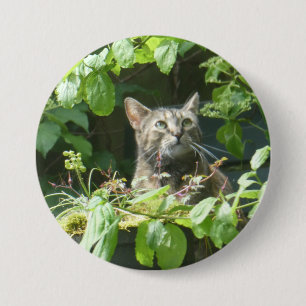 Badge Rond 7,6 Cm Bouton de chat pour observer les oiseaux