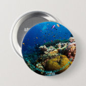 Badge Rond 7,6 Cm Bouton de mer de corail (Devant & derrière)