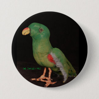 Badge Rond 7,6 Cm Bouton Electus de perroquet de janv. Shackelford