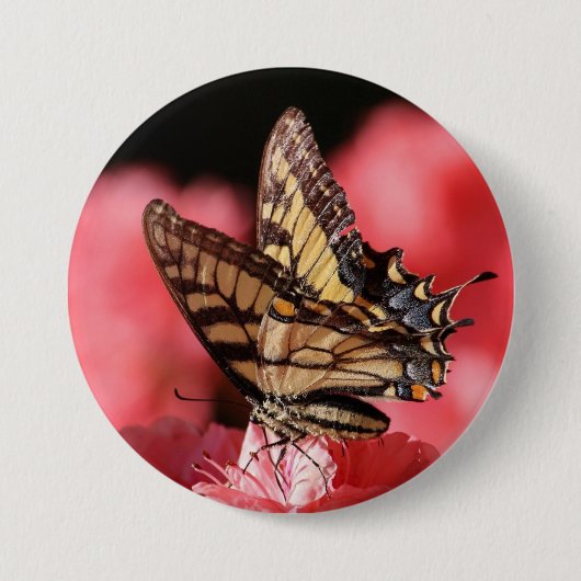 Badge Rond 7,6 Cm Bouton papillon (Devant)