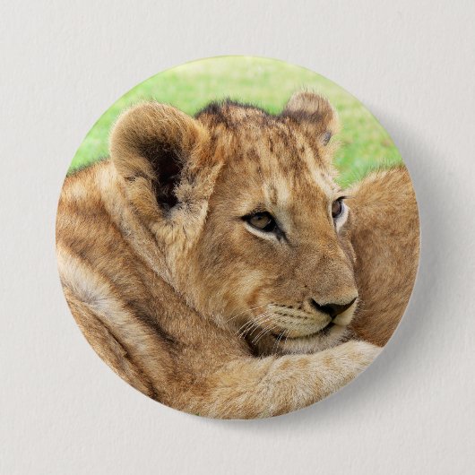Badge Rond 7,6 Cm Boutons bébé tigre (Devant)
