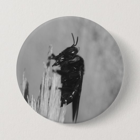 Badge Rond 7,6 Cm Bumblebee (Devant)