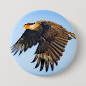 Badge Rond 7,6 Cm "Caracara Flight" Button (Devant)