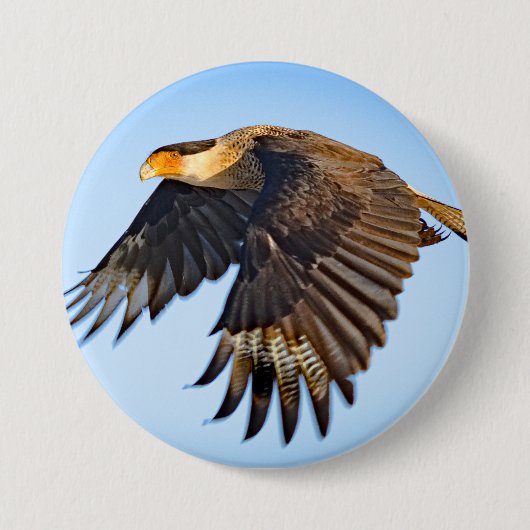 Badge Rond 7,6 Cm "Caracara Flight" Button (Devant)