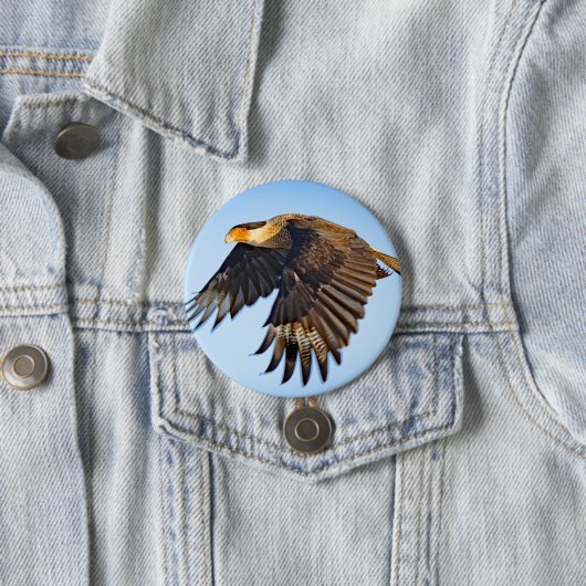 Badge Rond 7,6 Cm "Caracara Flight" Button (En situation)
