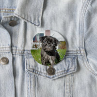 carlin DISPONIBLE