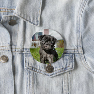 Badge Rond 7,6 Cm carlin DISPONIBLE