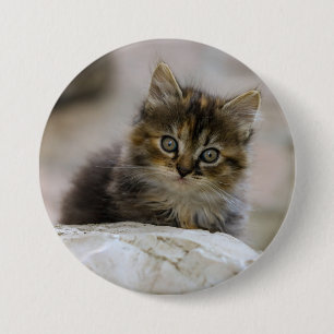 Badge Rond 7,6 Cm Chat, chat domestique, animal