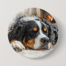 Chien de montagne bernois