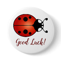 Coccinelle Rouge Orange Noire Chance