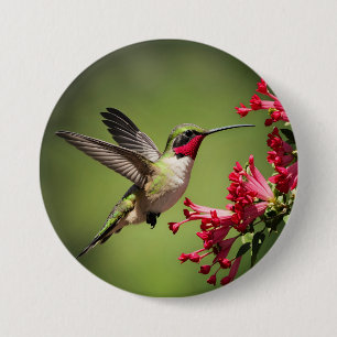Badge Rond 7,6 Cm Colibri coloré