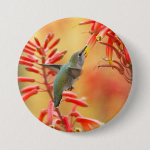 Badge Rond 7,6 Cm Colibri entouré de yucca rouge