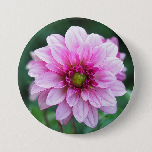 Badge Rond 7,6 Cm Dahlia (Devant)