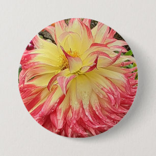 Badge Rond 7,6 Cm Dahlia rose et jaune