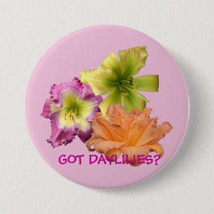 BADGE ROND 7,6 CM DAYLILIES OBTENUS ? BOUTON