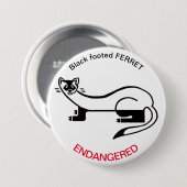 Badge Rond 7,6 Cm Ferret - bouton (Devant & derrière)