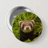 Badge Rond 7,6 Cm Ferret Brown dans l'herbe (Devant & derrière)