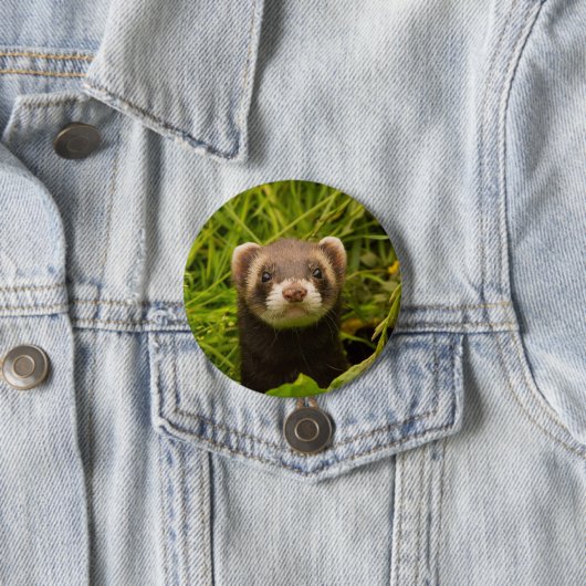 Badge Rond 7,6 Cm Ferret Brown dans l'herbe (En situation)