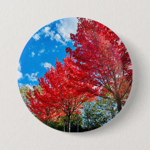 Badge Rond 7,6 Cm Feuilles D'Arbre Rouge Lumineux En Automne