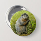 Badge Rond 7,6 Cm Goupille/bouton de Groundhog (Devant & derrière)
