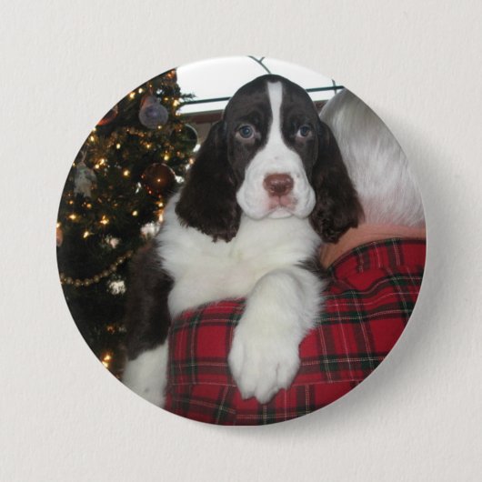 Badge Rond 7,6 Cm Goupilles de Noël de springer spaniel (Devant)