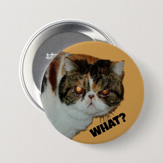 Badge Rond 7,6 Cm Grouchy Grumpy Chat Quoi ? Photographie amusante (Devant & derrière)