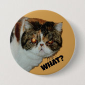 Badge Rond 7,6 Cm Grouchy Grumpy Chat Quoi ? Photographie amusante (Devant)