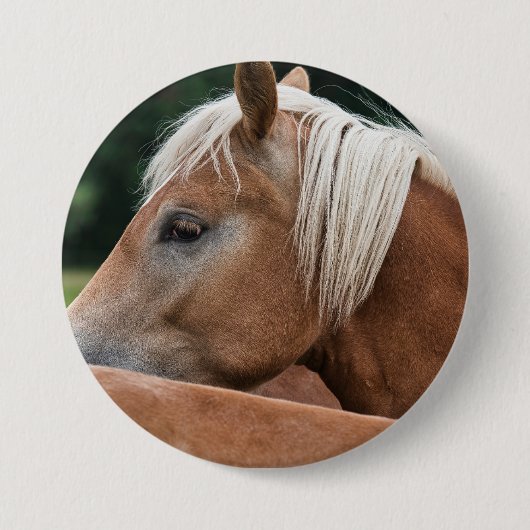 Badge Rond 7,6 Cm horsie cute (Devant)