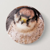 BADGE ROND 7,6 CM LANNER FALCON (Devant)