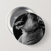 Badge Rond 7,6 Cm lion (Devant & derrière)