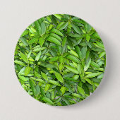 Badge Rond 7,6 Cm Motif Feuille verdoyant - Nature Botanique (Devant)