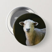 Badge Rond 7,6 Cm Mouton de campagne (Devant & derrière)