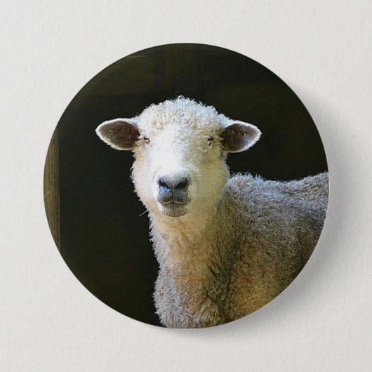 Badge Rond 7,6 Cm Mouton de campagne (Devant)
