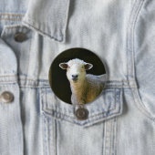 Badge Rond 7,6 Cm Mouton de campagne (En situation)