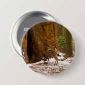 Badge Rond 7,6 Cm Mule Deer (Devant & derrière)