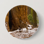 Badge Rond 7,6 Cm Mule Deer (Devant)