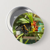 Badge Rond 7,6 Cm Papillon noir à queue noire #2 (Devant & derrière)