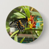 Badge Rond 7,6 Cm Papillon noir à queue noire #2 (Devant)