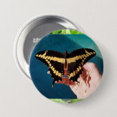 Badge Rond 7,6 Cm Papillon swallowtail géant (Devant & derrière)