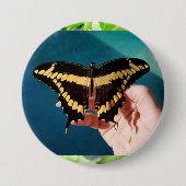 Badge Rond 7,6 Cm Papillon swallowtail géant (Devant)