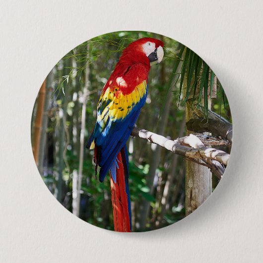 Badge Rond 7,6 Cm Perroquet renversant d'ara d'écarlate (Devant)