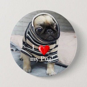 Badge Rond 7,6 Cm Pug puppy